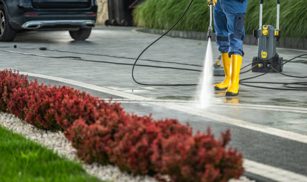 Best Sidewalk and Walkway Cleaning  in Bartlett, TX